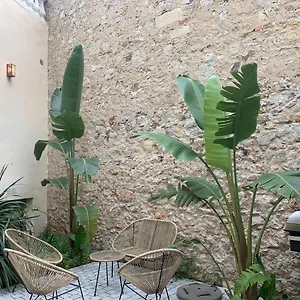 Les Fougeres Jardin Parking Cannes
